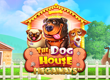 Слот The Dog House с милыми собаками, будками и бонусами с множителями в Бро Казино